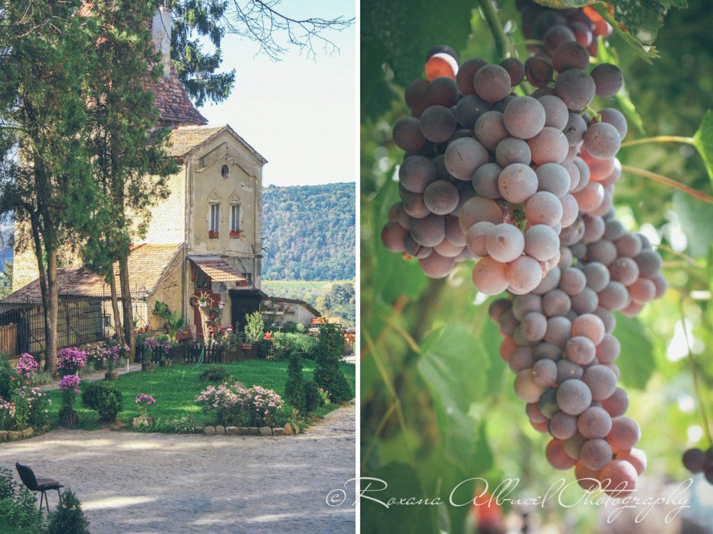 vancouver wedding photographer - romania- travels-01