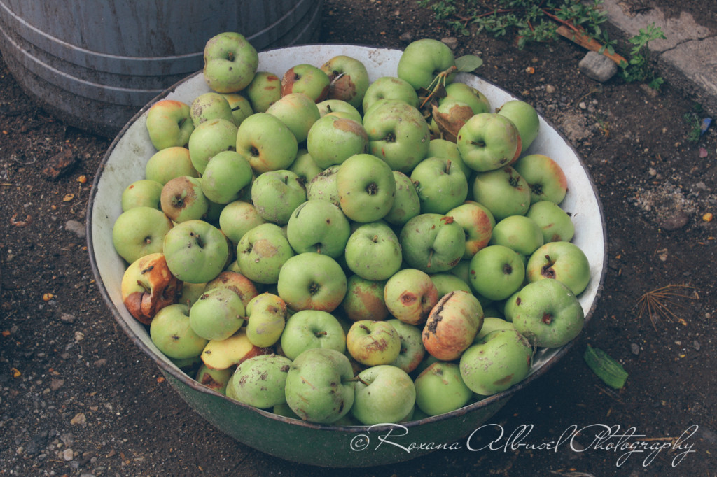 vancouver wedding photographer - romania- travels-02