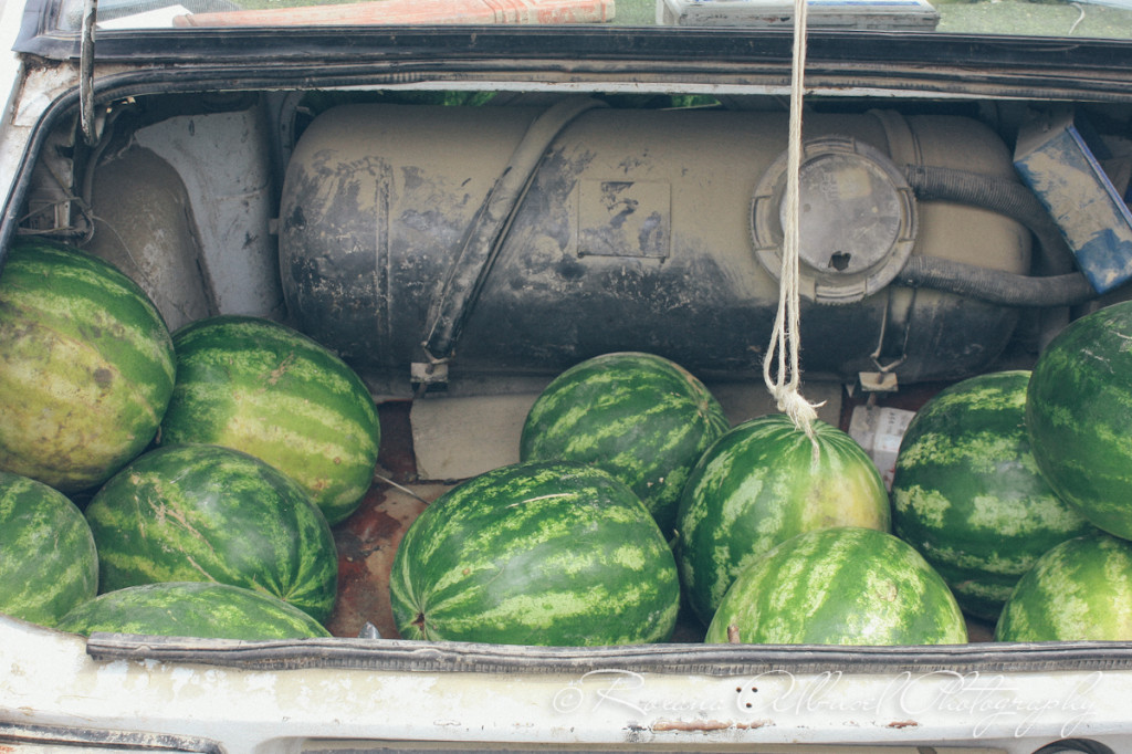 vancouver wedding photographer - romania- travels-11