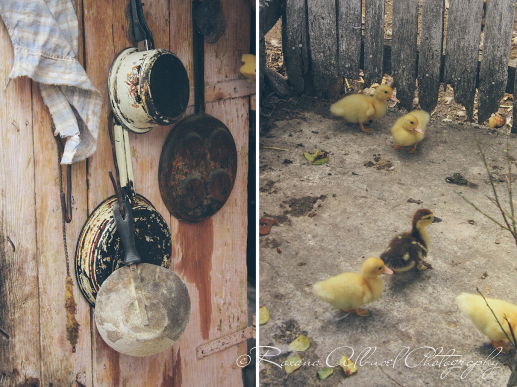 vancouver wedding photographer - romania- travels-21