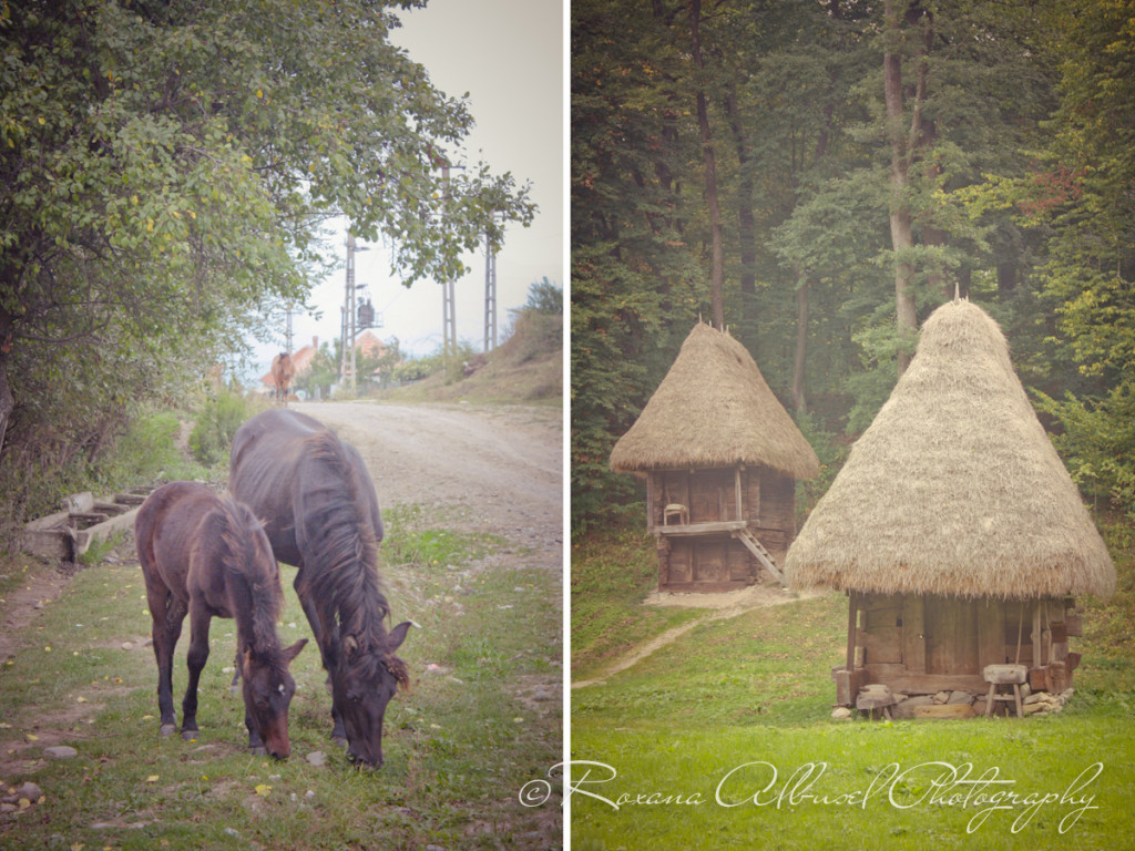 vancouver wedding photographer - romania- travels-27