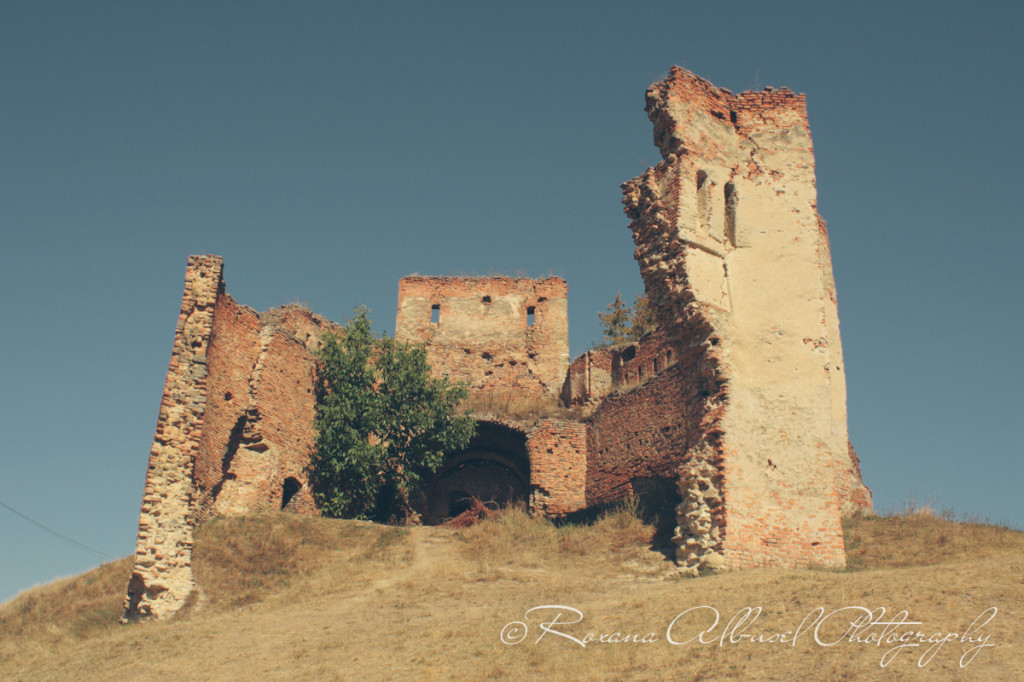 vancouver wedding photographer - romania- travels-32