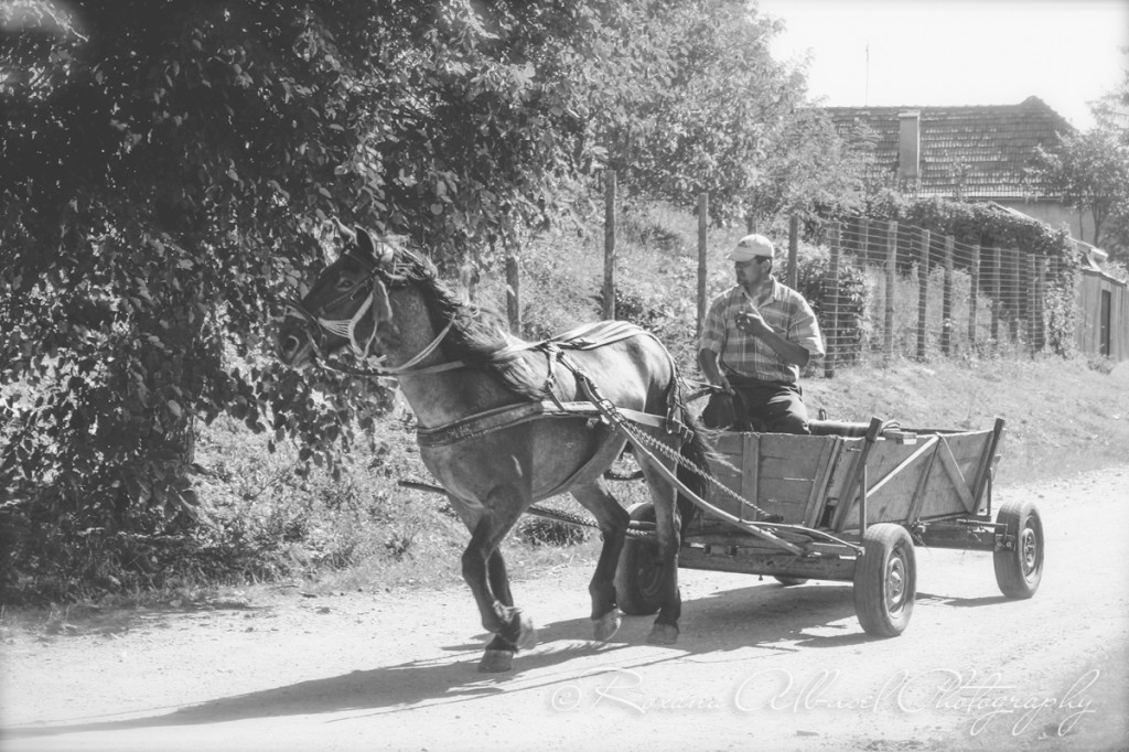 vancouver wedding photographer - romania- travels-33