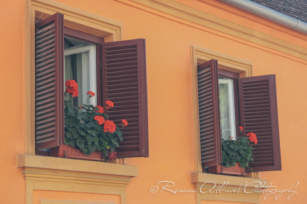 vancouver wedding photographer - romania- travels-34