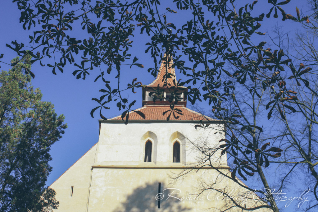 vancouver wedding photographer - romania- travels-36