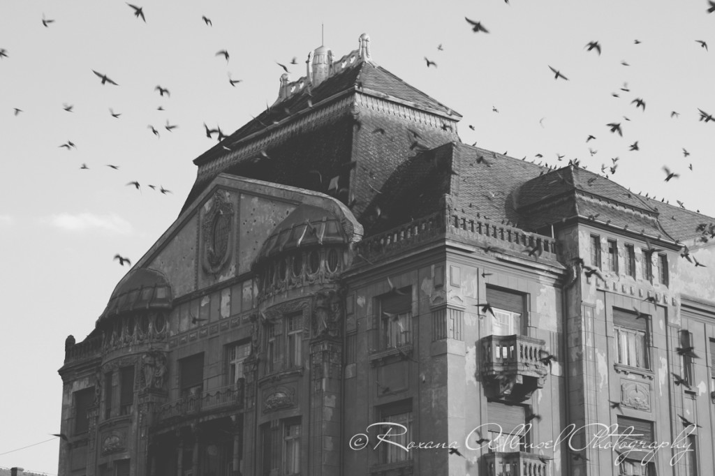 vancouver wedding photographer - romania- travels-39