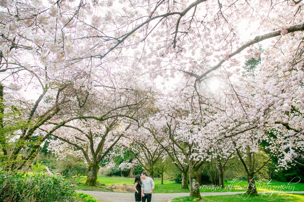 vancouver engagement photographer - vancouver wedding photographer - roxana albusel photography - gs(2)