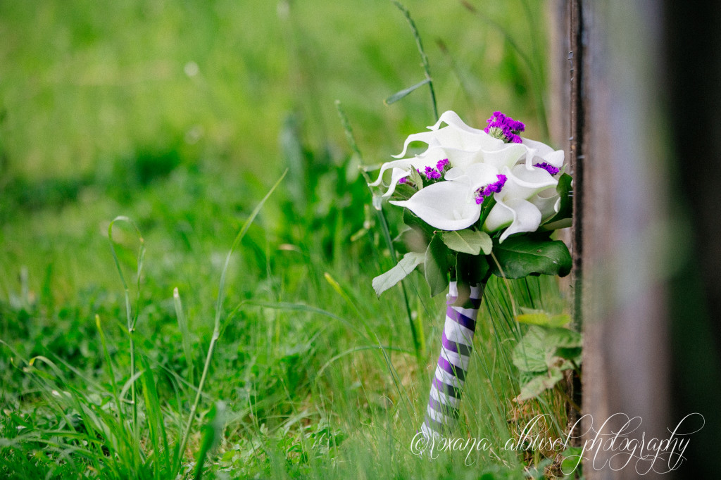 roxana albusel photography - vancouver wedding and engagement photographer - ar wedding teasers 13