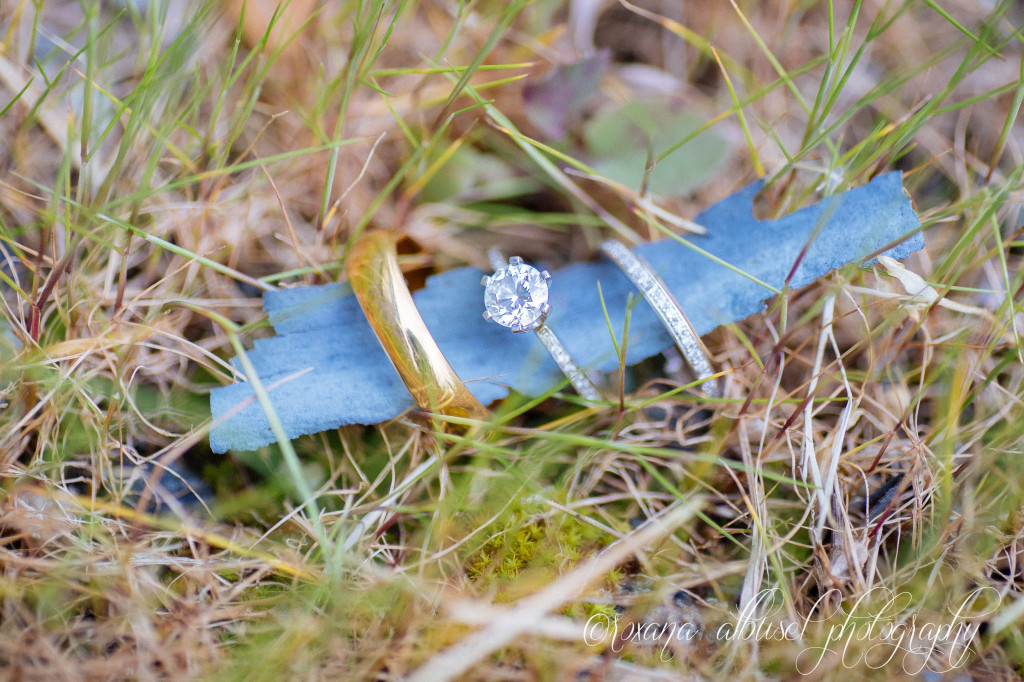 roxana albusel photography - vancouver wedding and engagement photographer - ar wedding teasers 19
