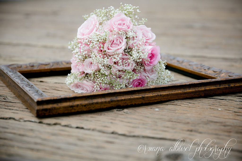 vancouver wedding photographer - roxana albusel photography - rocky point wedding teasers _ 20