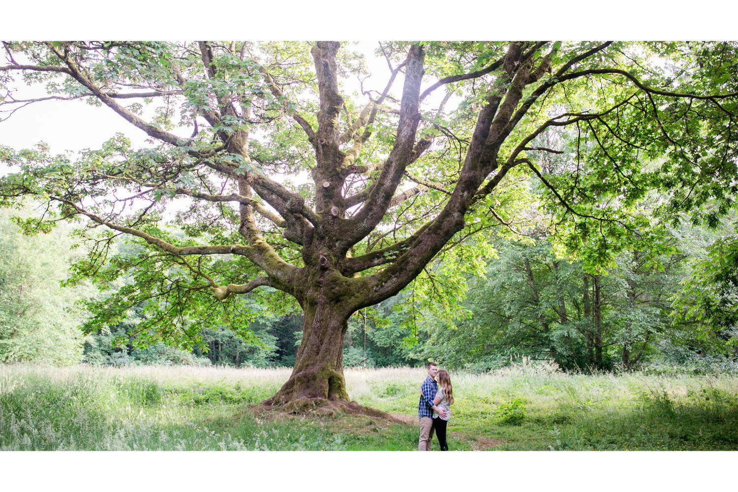 Vancouver Wedding Photographer - Roxana Albusel Photography - Anna and Riley Engagement