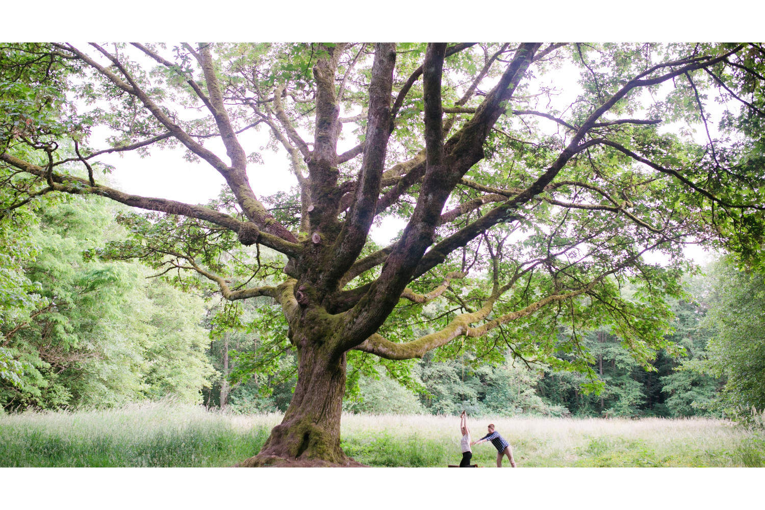 Vancouver Wedding Photographer - Roxana Albusel Photography - Anna and Riley Engagement