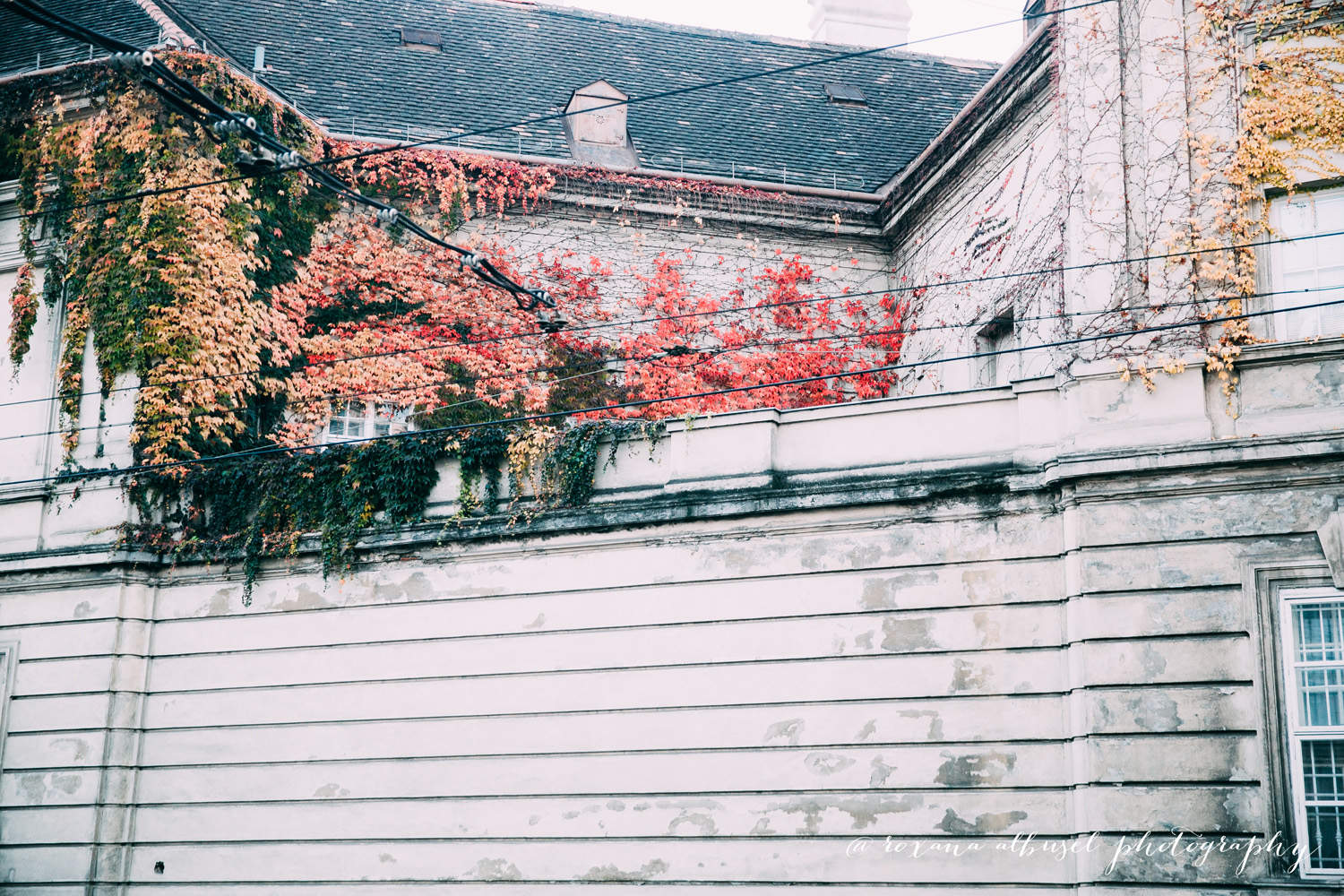 Fall travel photography in Vienna, November 2015.