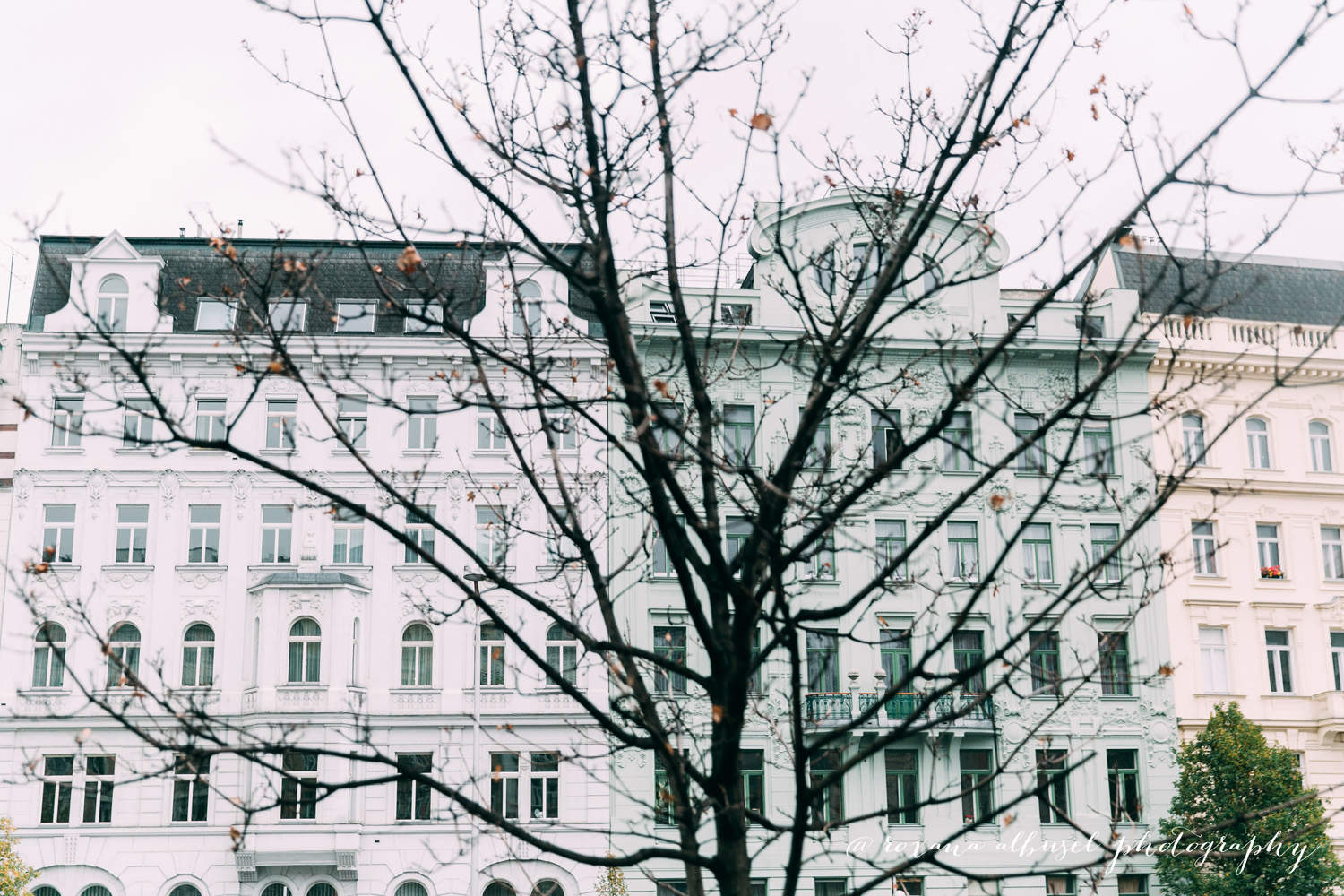 Architectural travel photography in Vienna, November 2015.