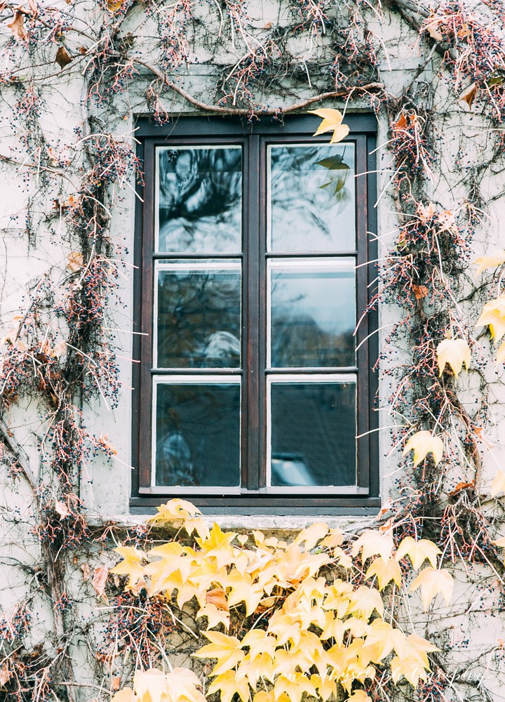 Fall travel photography in Vienna, November 2015.