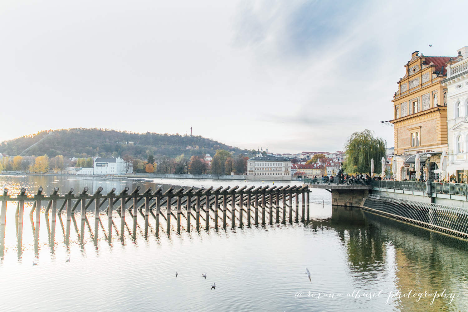 Landscape photography during travel to Prague, Czech Republic in November of 2015.