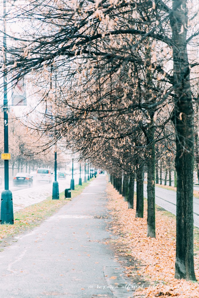 Fall street photography during travel to Prague, Czech Republic in November of 2015.