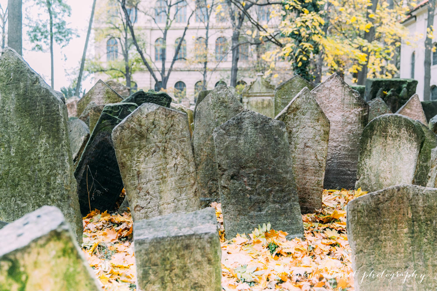 Close-up at Jewish Cemetery during travel to Prague, Czech Republic in November of 2015.