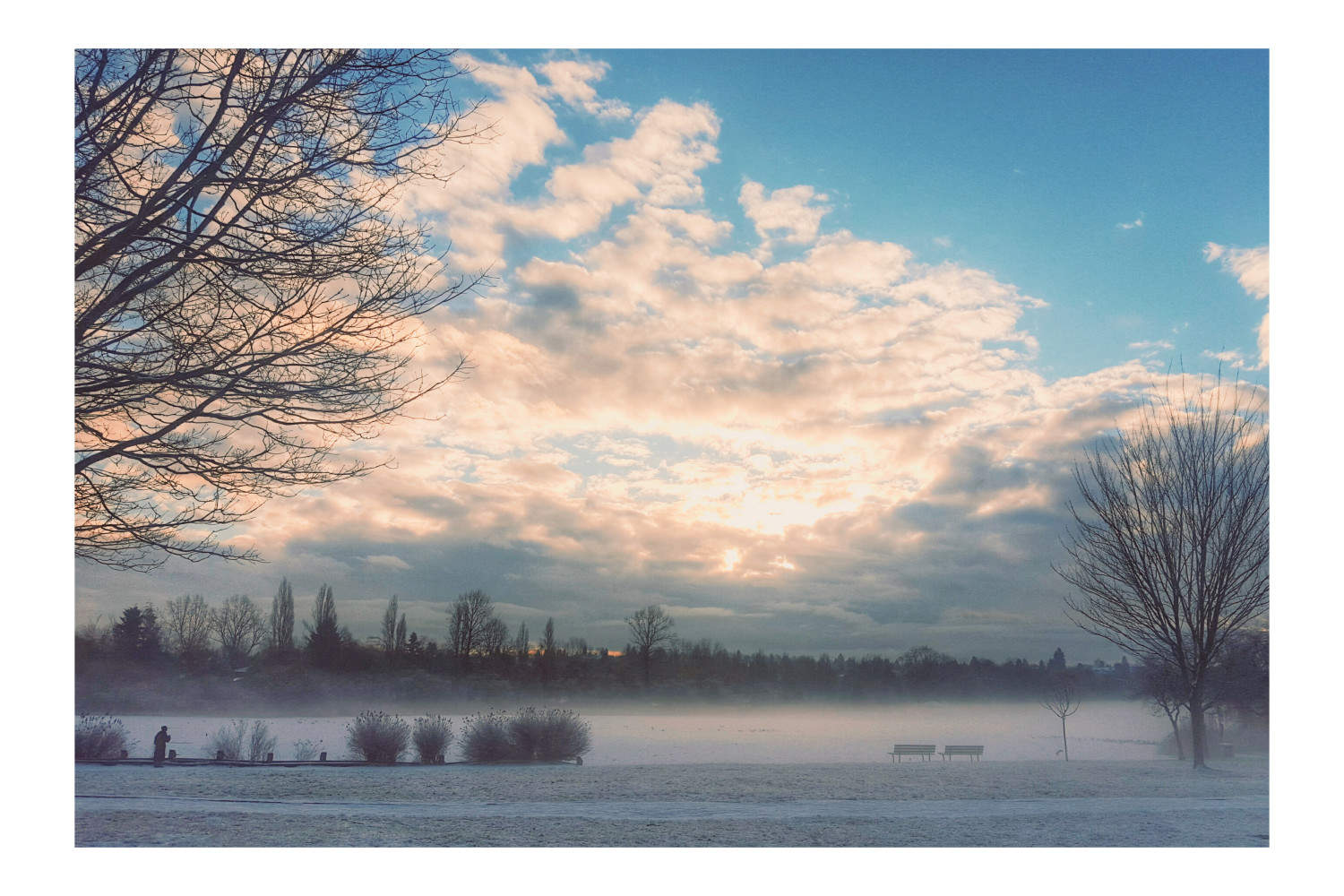 Beautiful view of Trout Lake during a foggy, icy morning on a walk with our pup Tasha.