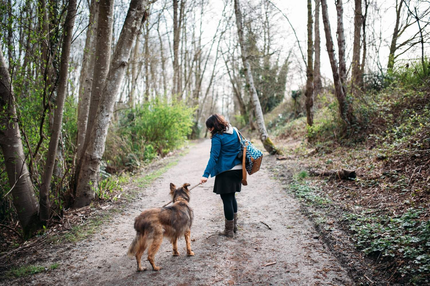 Tasha Dog Walk in South Vancouver Park