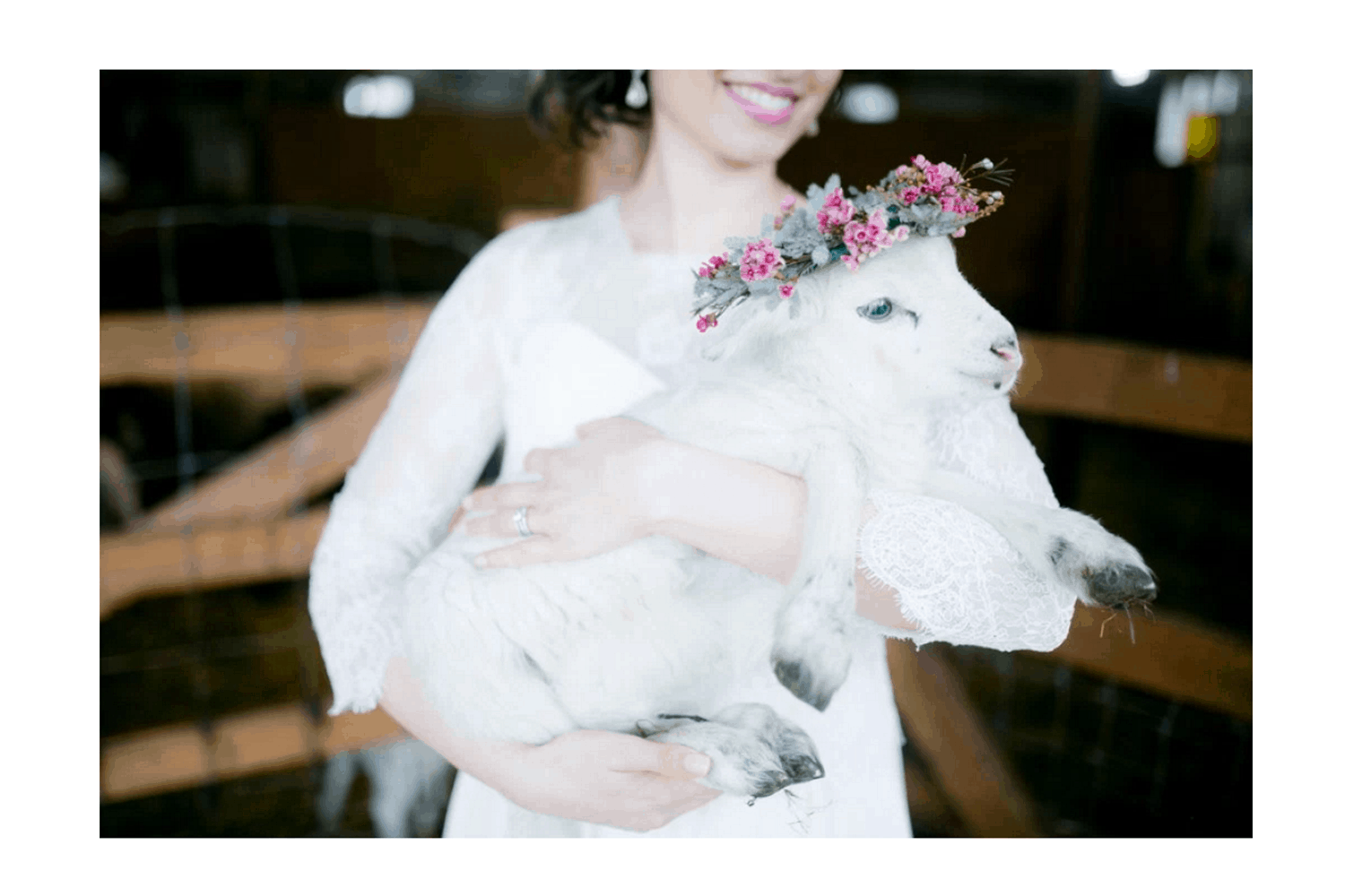 Abbotsford Stylized Vintage Farm Shoot