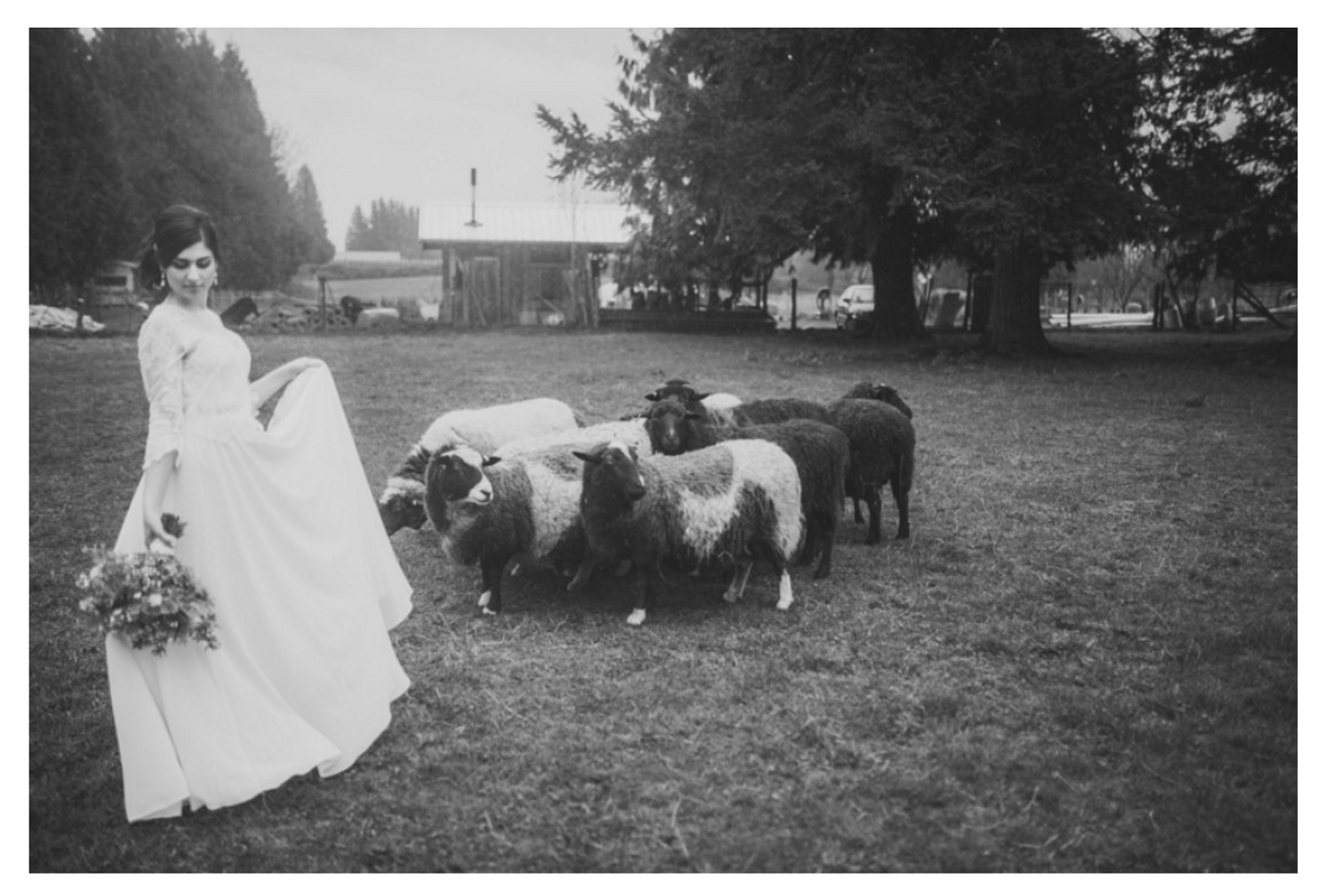 Abbotsford Stylized Vintage Farm Shoot in Black and White