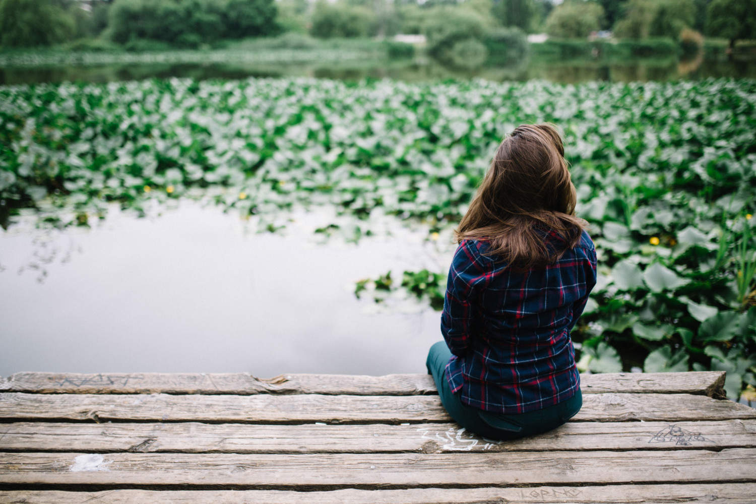 puppy tasha and friends on dock at trout lake