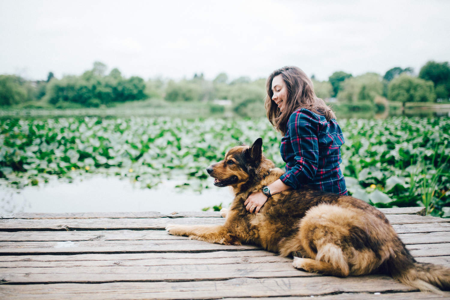 puppy tasha and friends on dock at trout lake