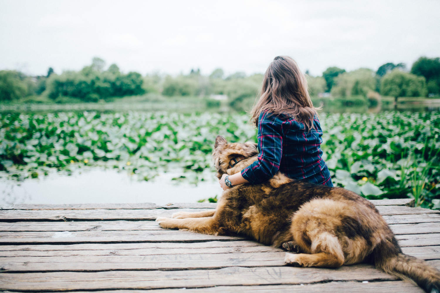 puppy tasha and friends on dock at trout lake