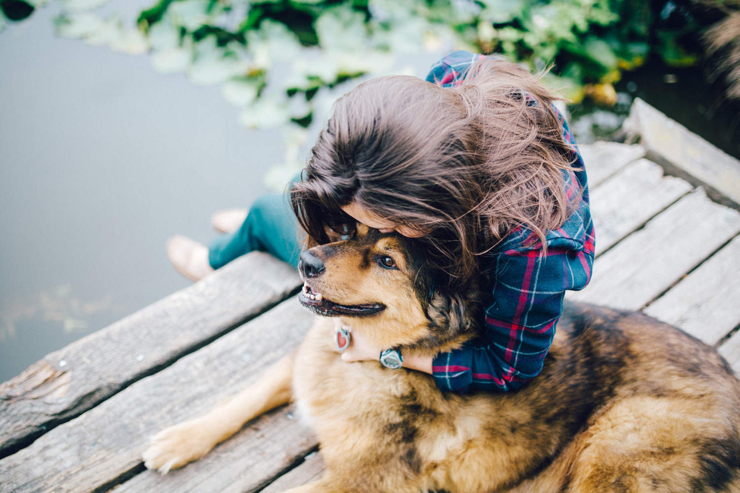 puppy tasha and friends on dock at trout lake