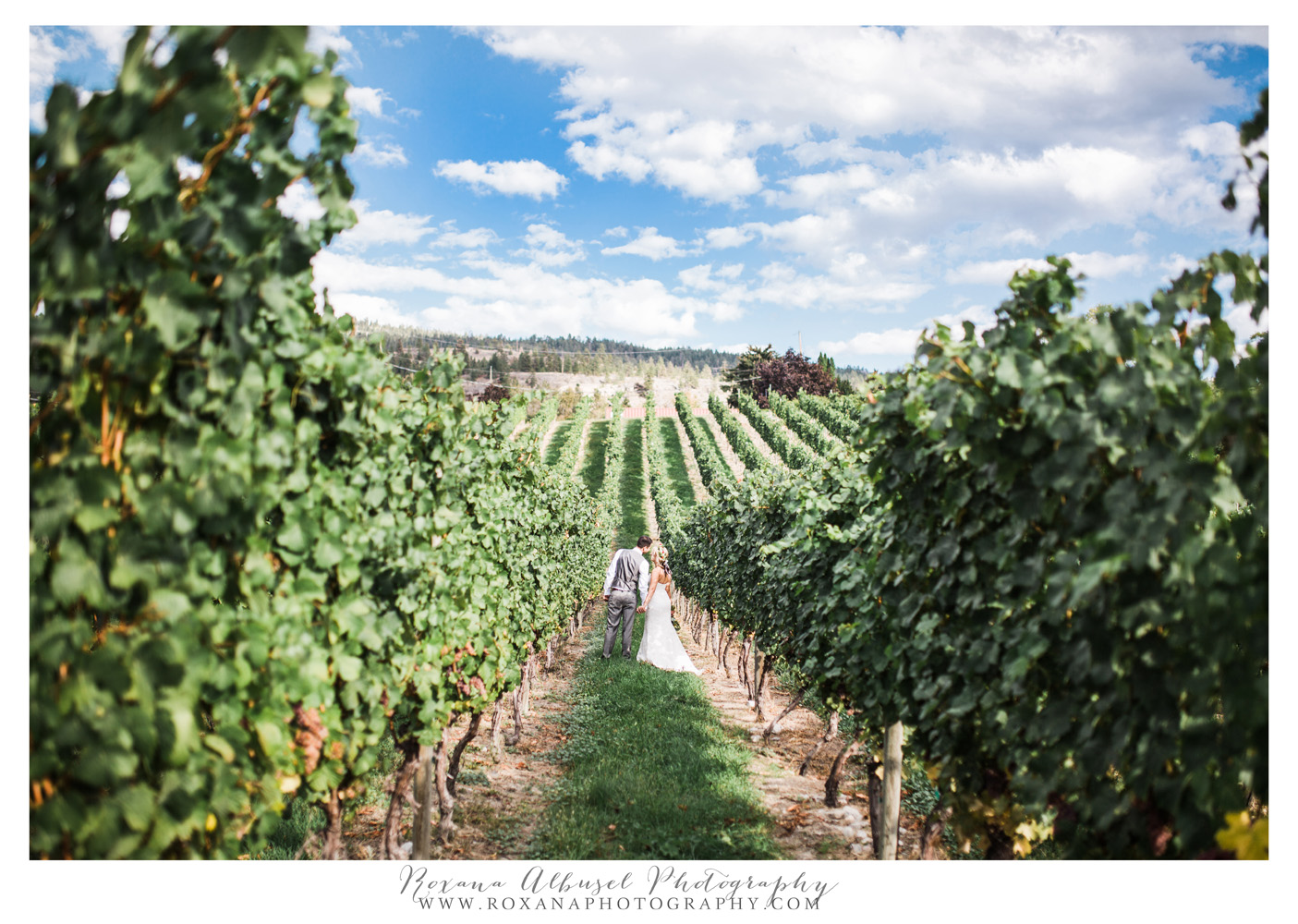 bride and groom at penticton winery wedding