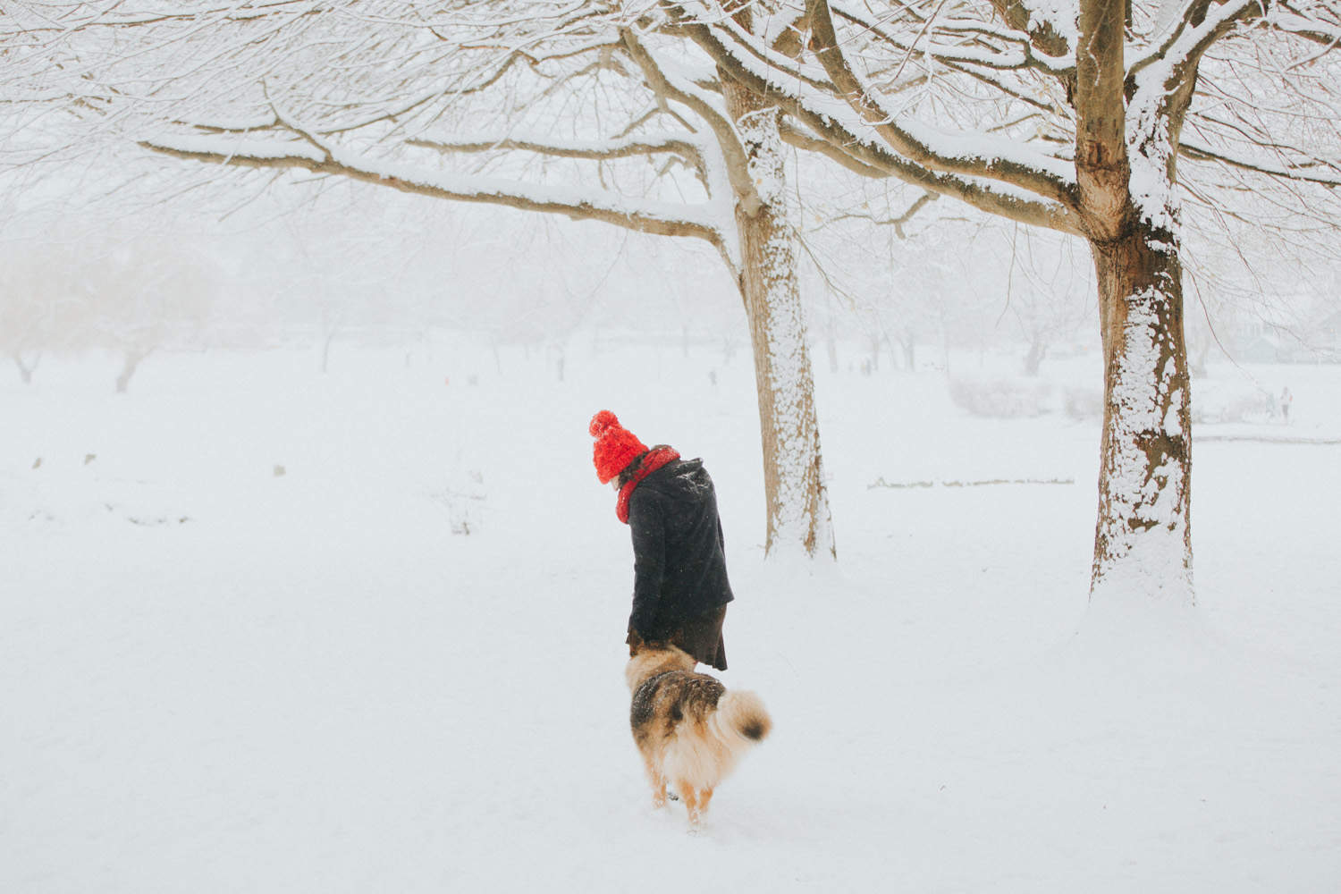 Vancouver winter fun 2016.