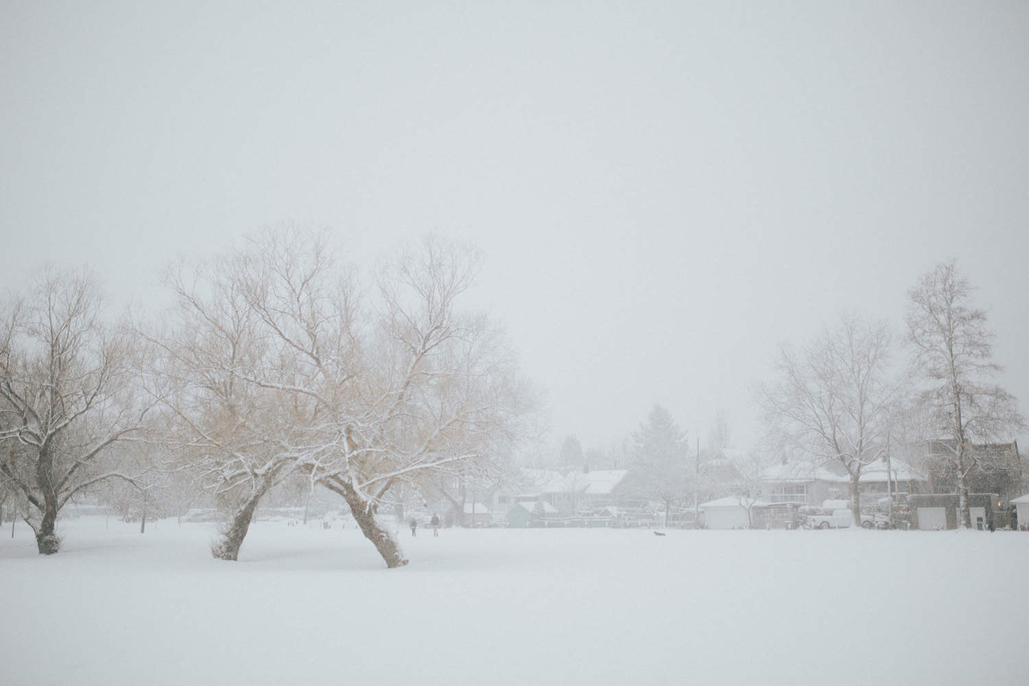 Vancouver winter fun 2016.