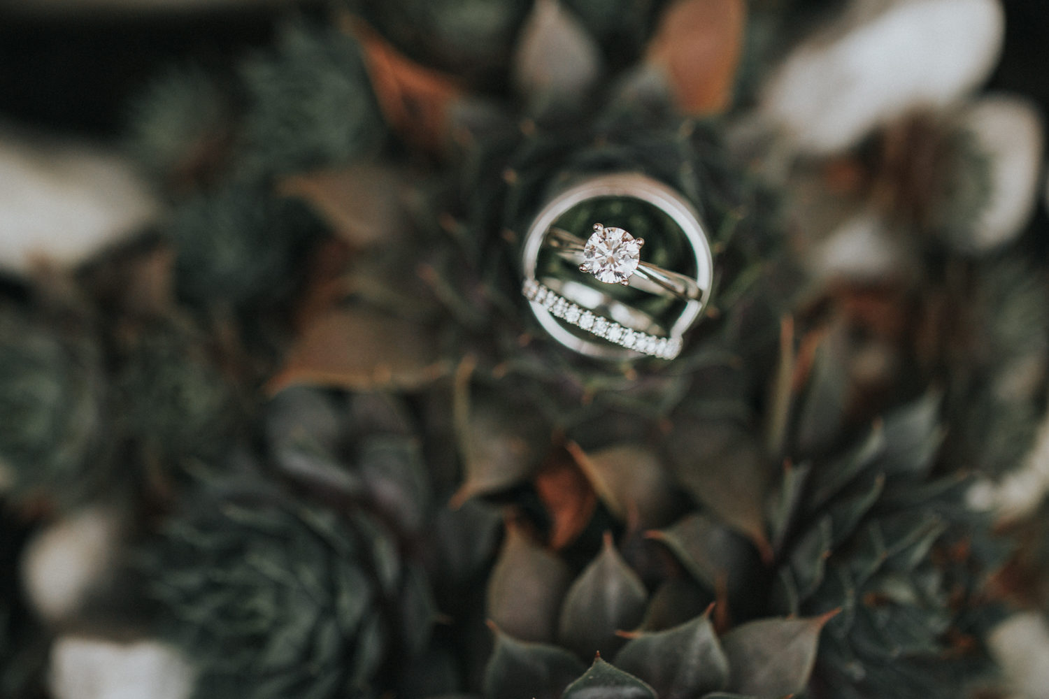 italian wedding in east vancouver