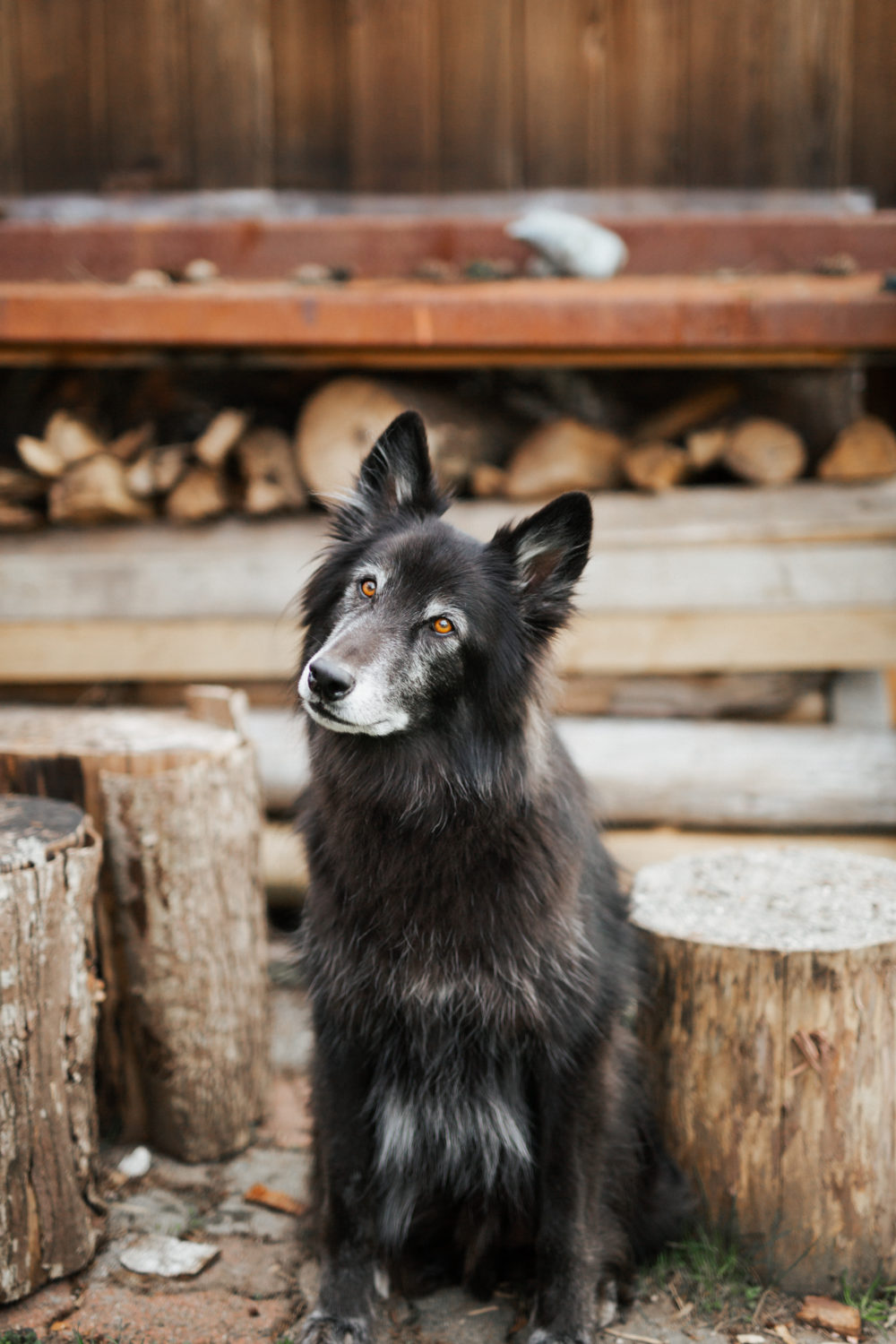 family posing at east vancouver newborn photography shoot